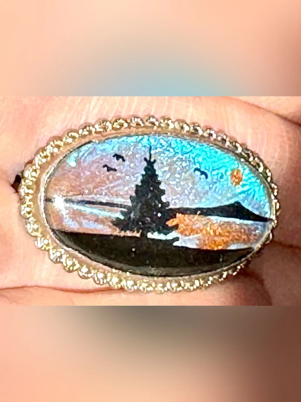 Vintage Butterfly Wing Brooch / Pin Stunning